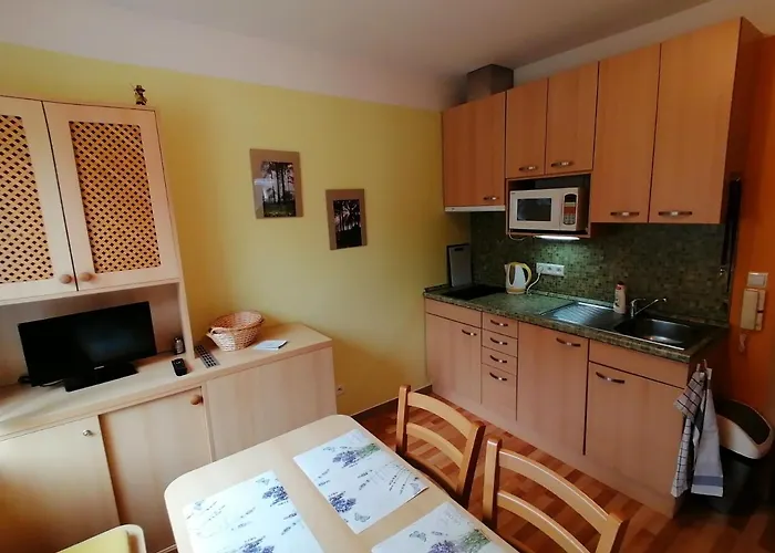 Apartman Na Horach